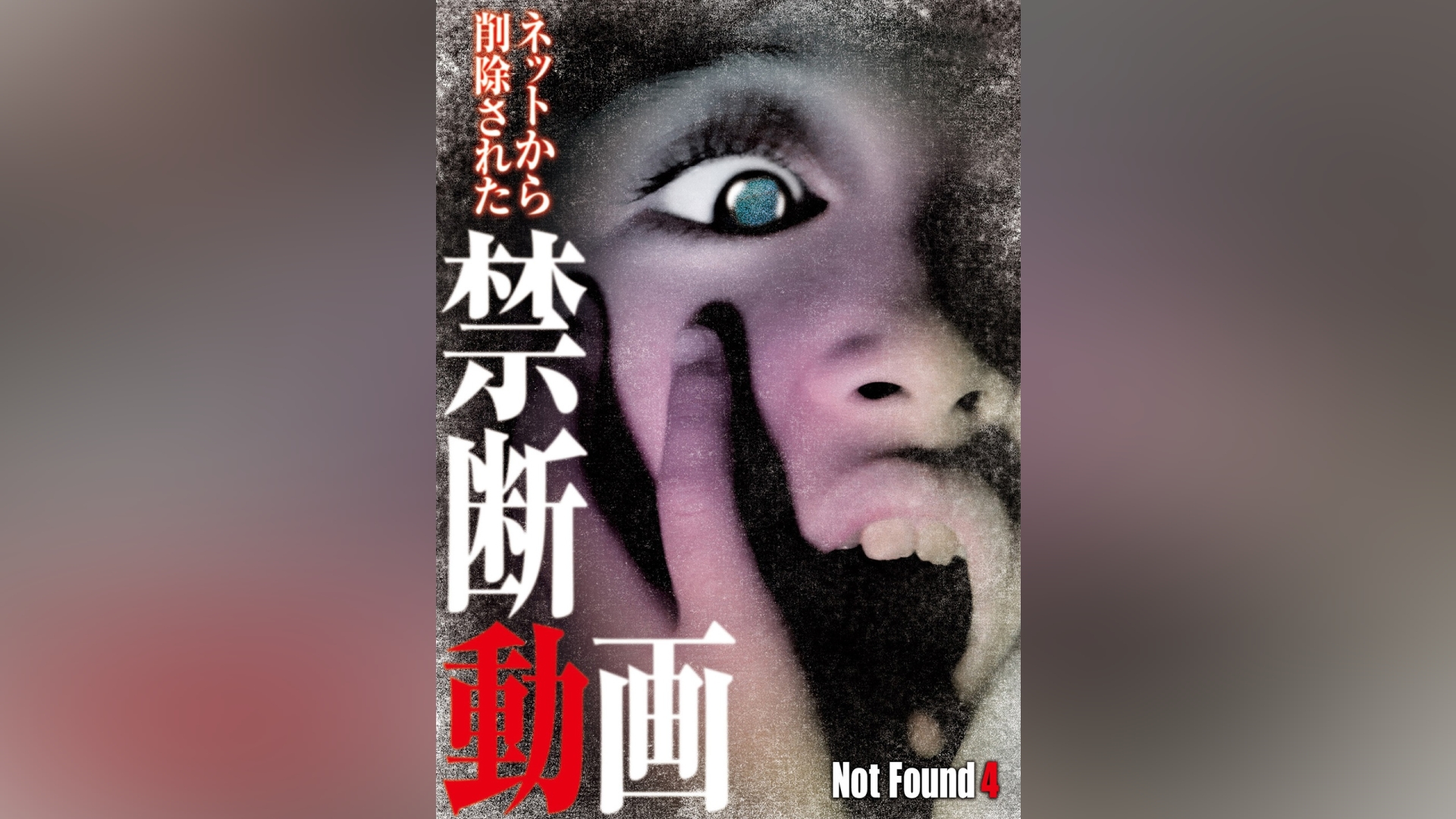 Not Found 21 - ネットから削除された禁断動画 - - その他