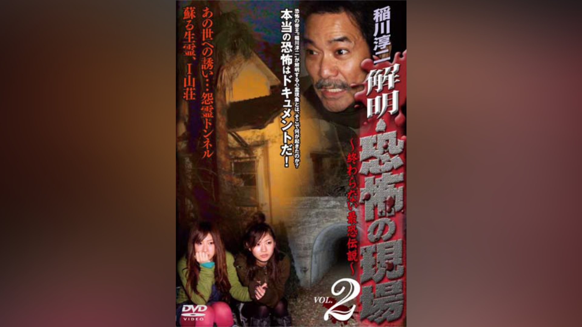 稲川淳二 心霊2 - DVD/ブルーレイ
