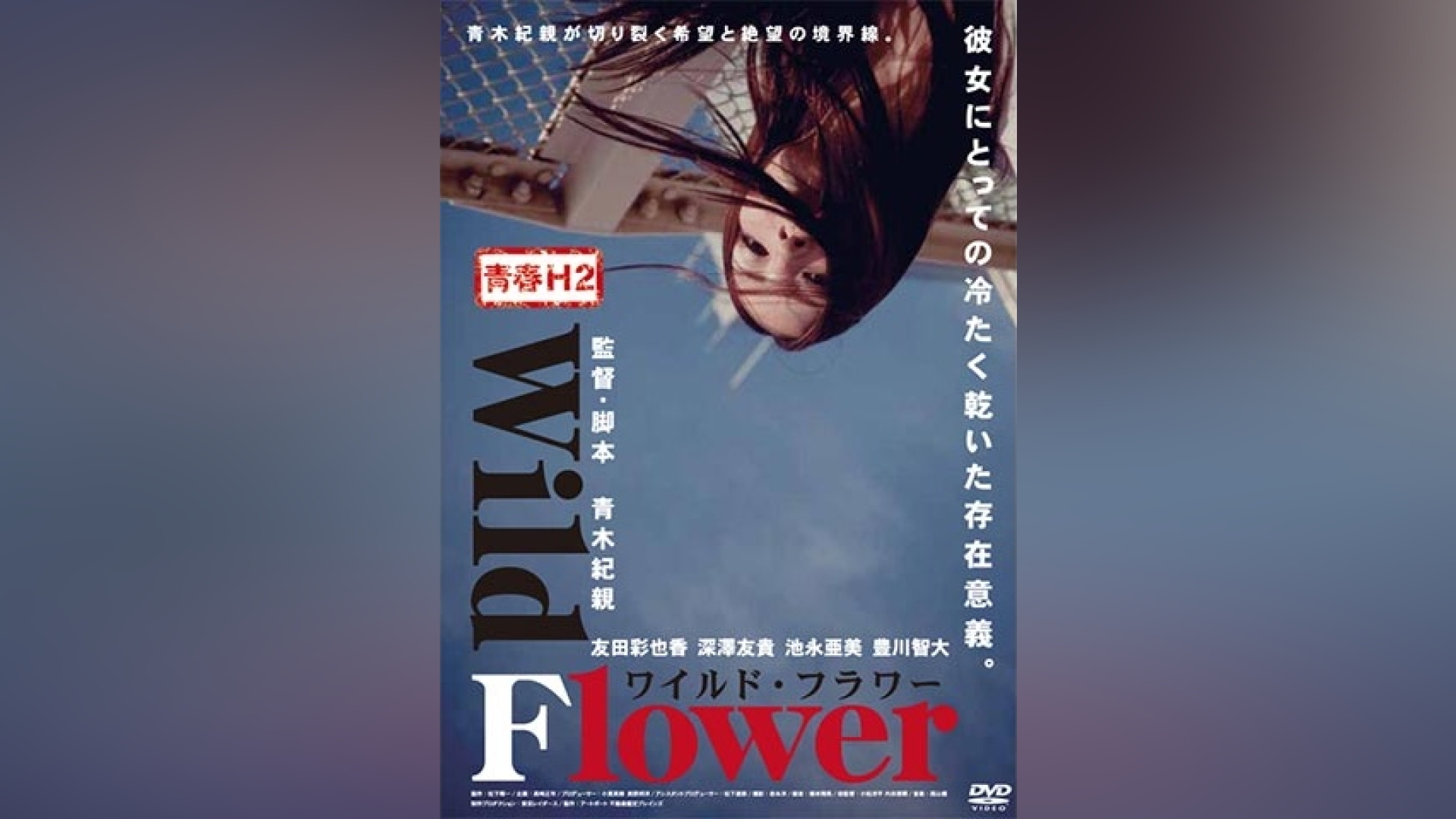青春H2 Wild Flower ワイルド・フラワー ☆レンタル落ちDVD☆