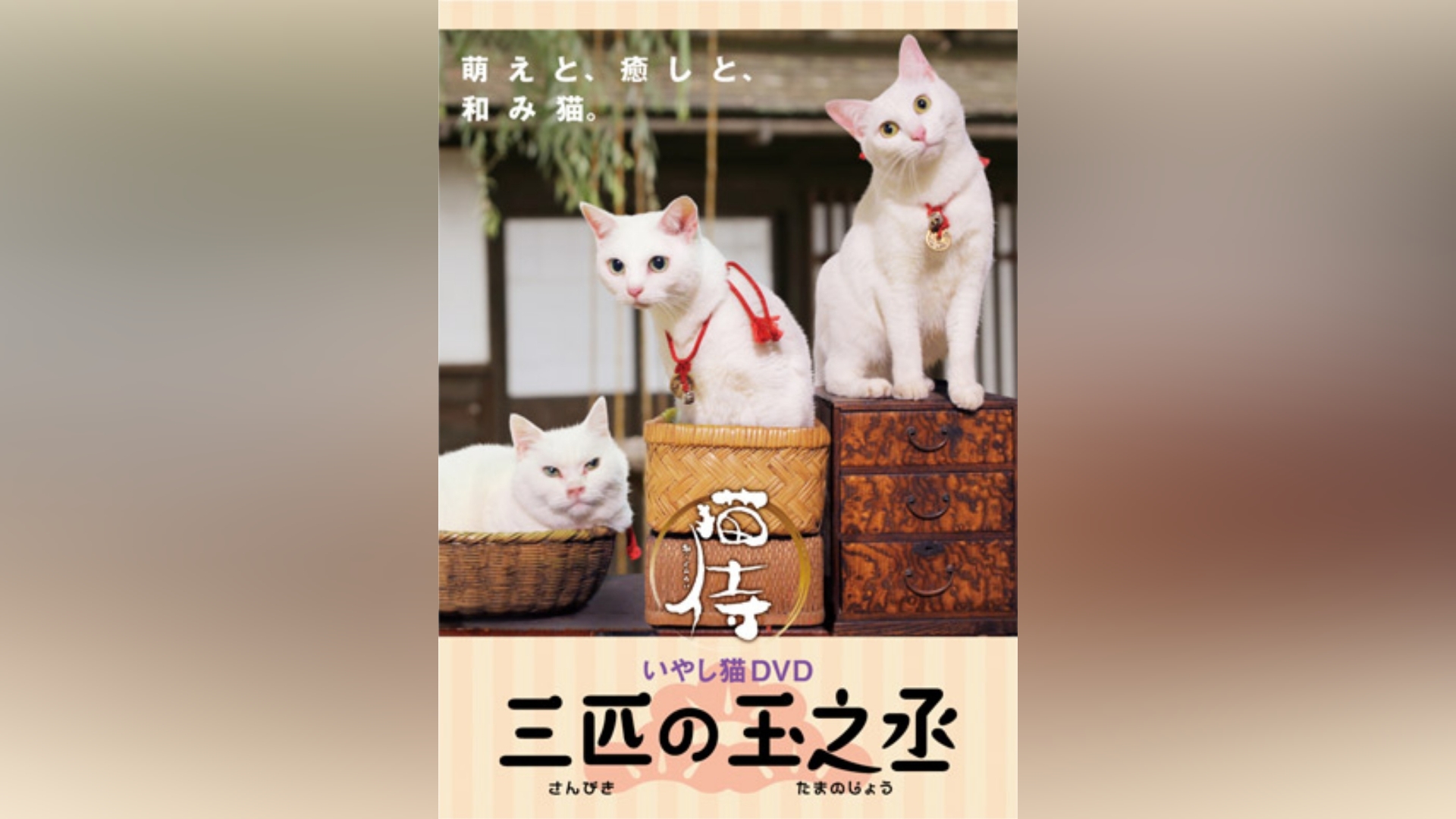 猫侍 三匹の玉之丞｜カンテレドーガ【初回30日間無料トライアル！】