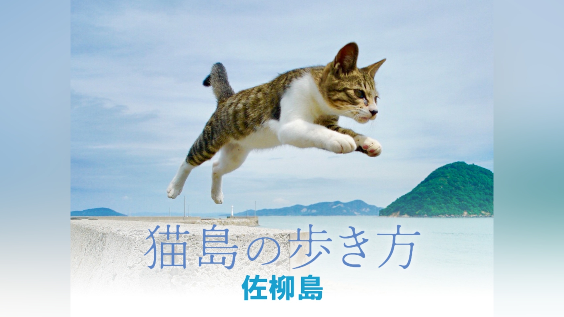 猫島の歩き方～佐柳島～｜カンテレドーガ【初回30日間無料トライアル！】