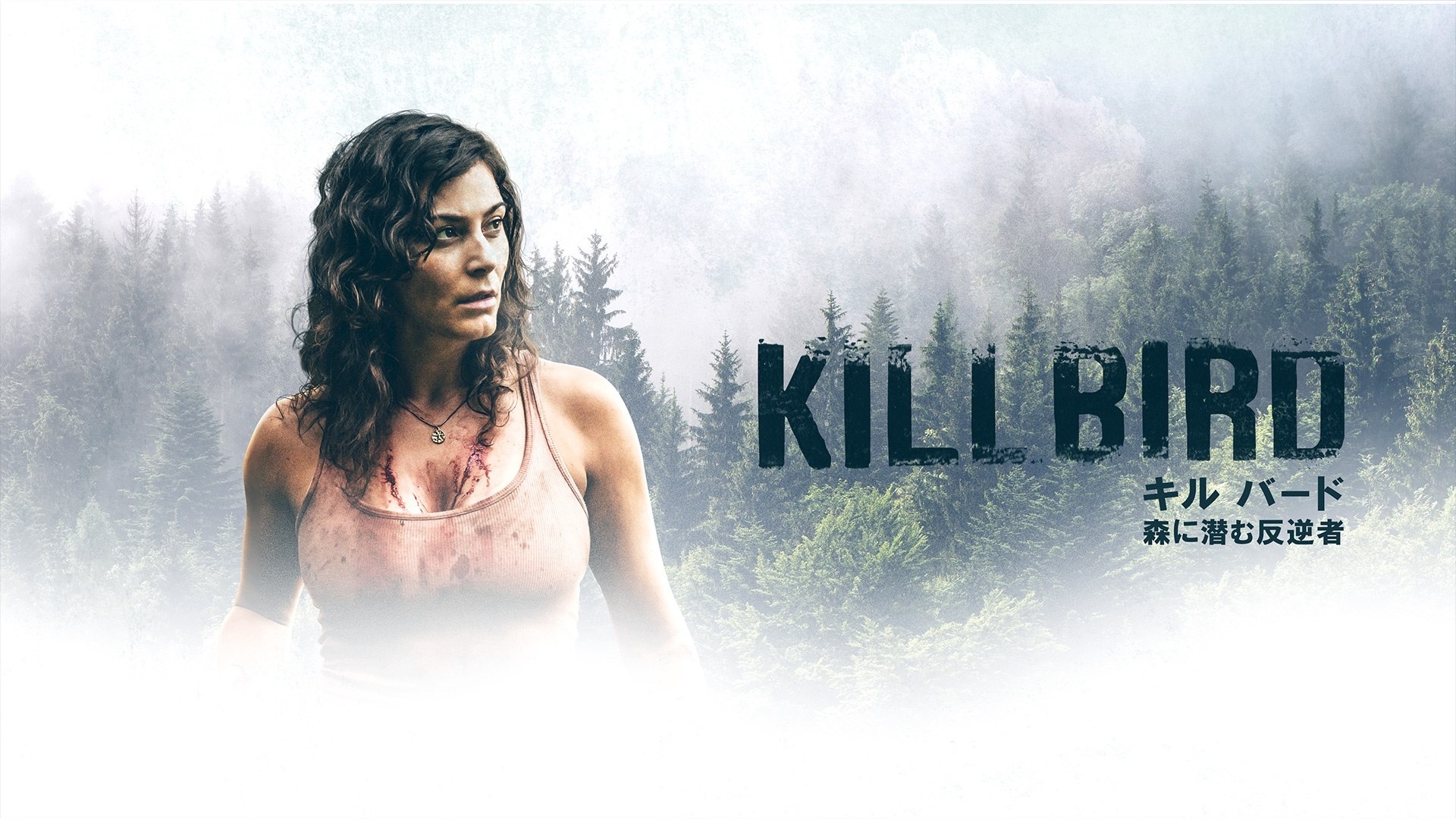 カンテレドーガ|関西テレビの動画配信サービス【初回30日間無料トライアル!】