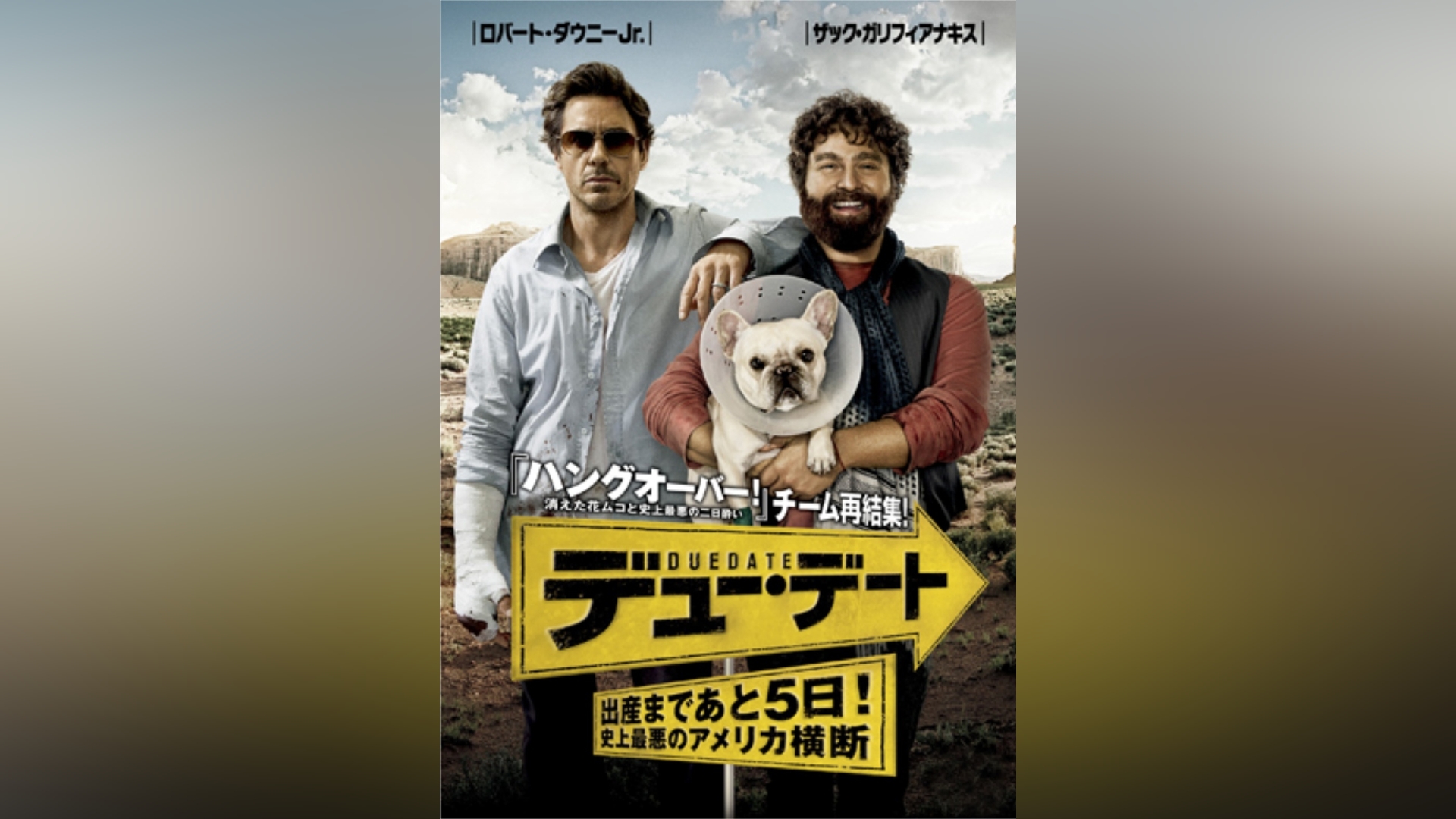 ＣＩＴＹ ＯＦ ＤＯＧＳ／ロバートダウニーＪｒ． シティ・オブ・ドッグス 【限定品】 - 洋画・外国映画