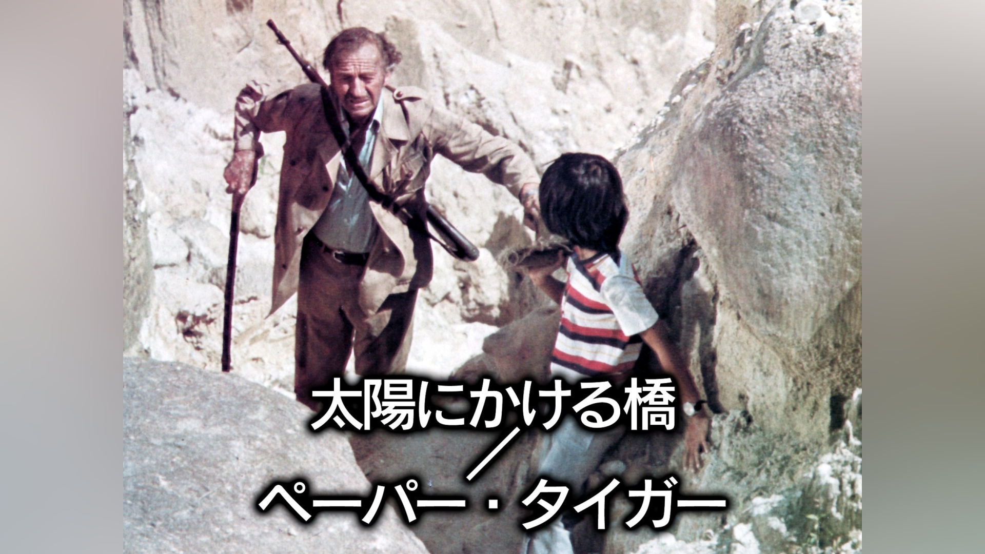 太陽にかける橋/ペーパー・タイガー
