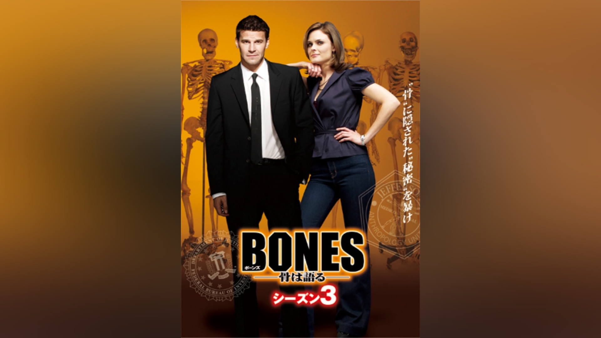 正規取扱い店 BONES-骨は語る- シーズン１〜７ | www.artfive.co.jp