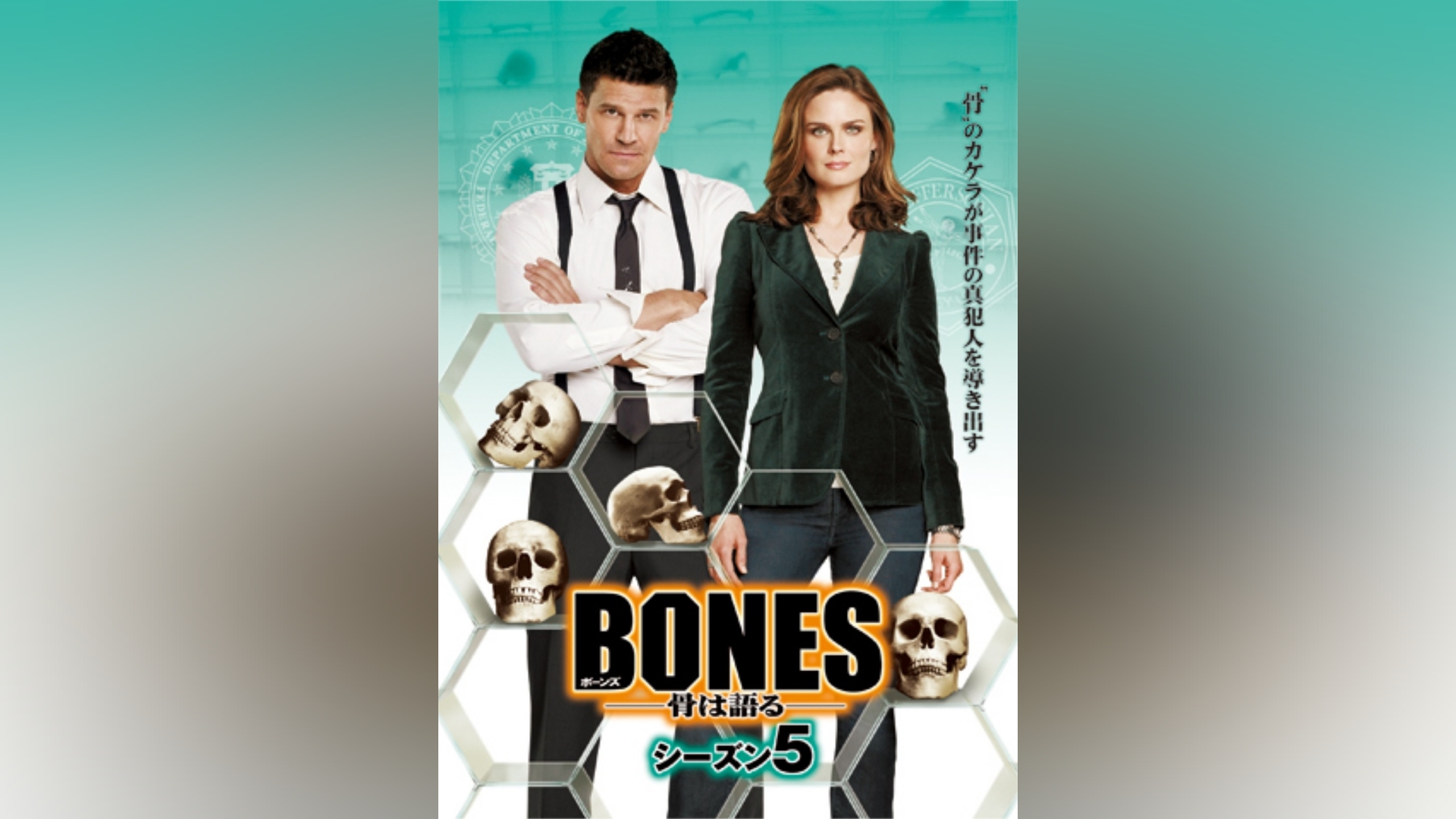 BONES ―骨は語る― シーズン5｜カンテレドーガ【初回30日間無料】