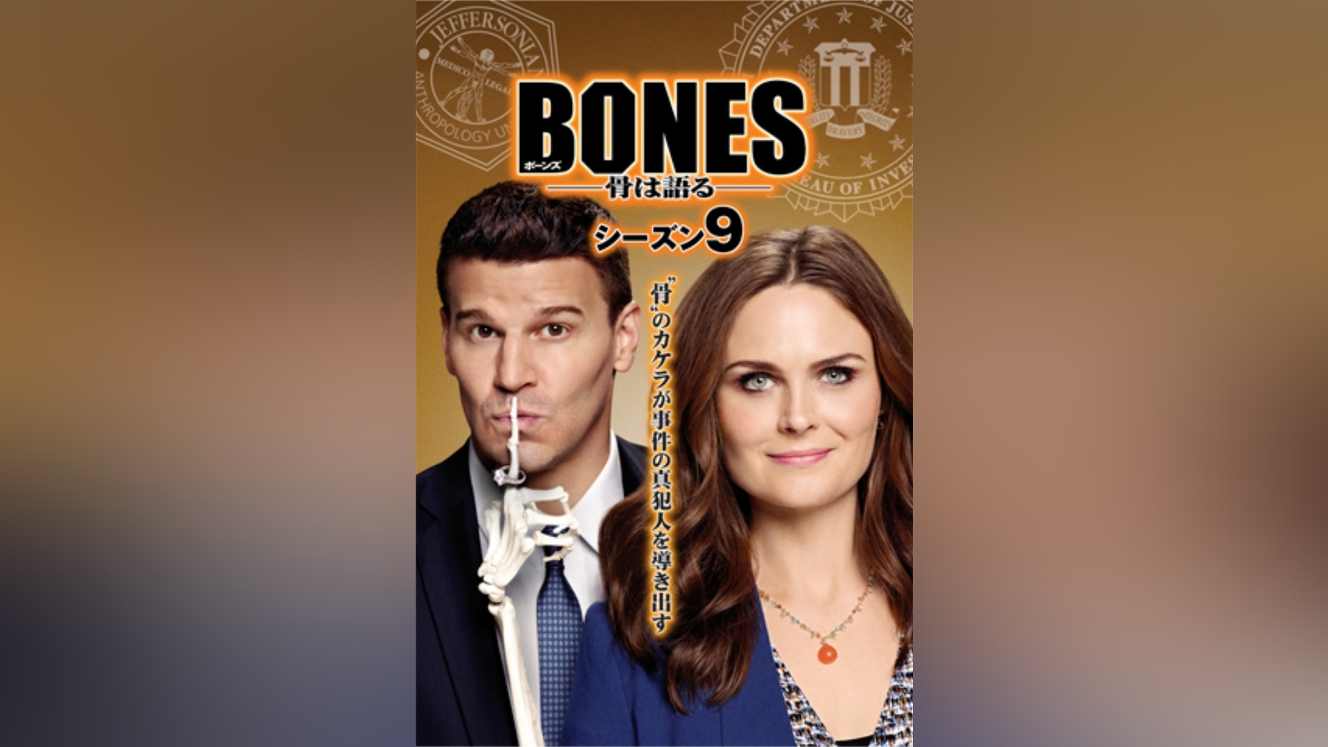 BONES(ボーンズ)-骨は語る-シーズン2～9BOX - DVD