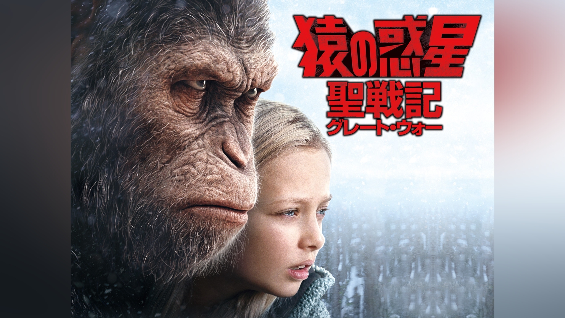 カンテレドーガ|関西テレビの動画配信サービス【初回30日間無料トライアル!】