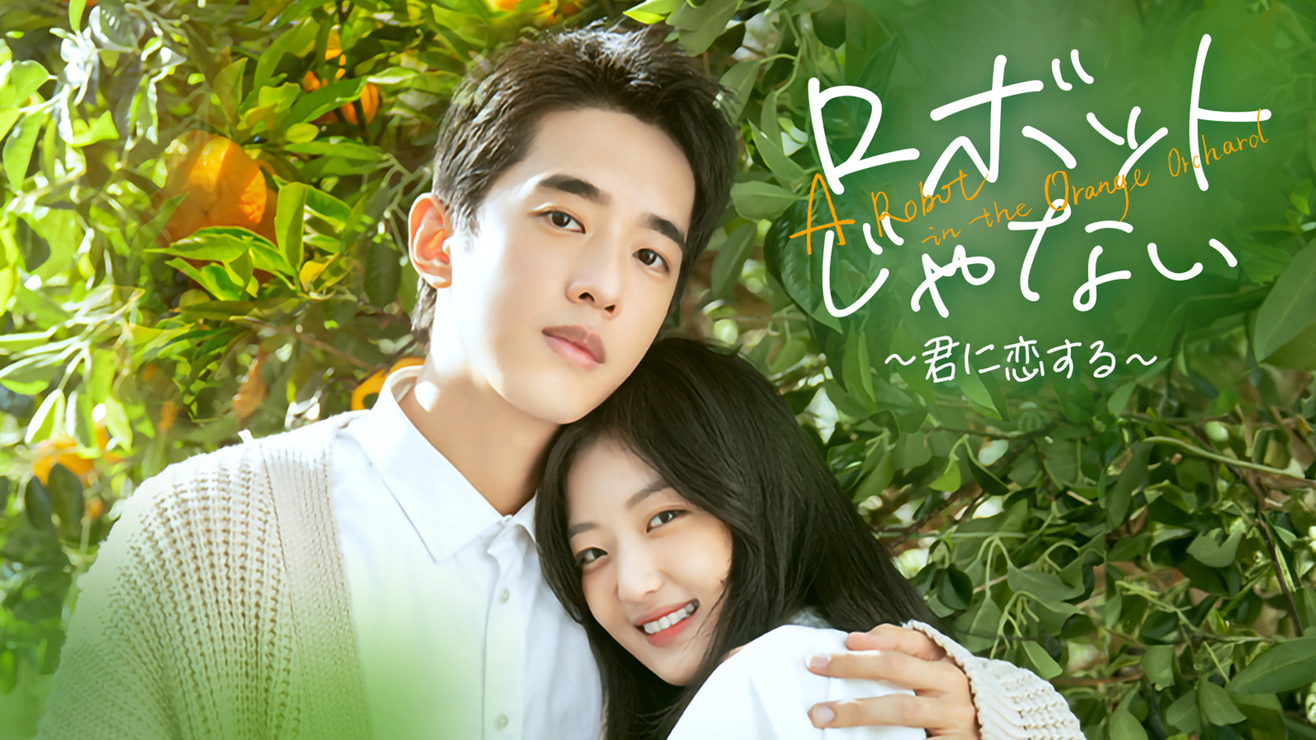 カンテレドーガ｜関西テレビの動画配信サービス【初回30日間無料トライアル！】