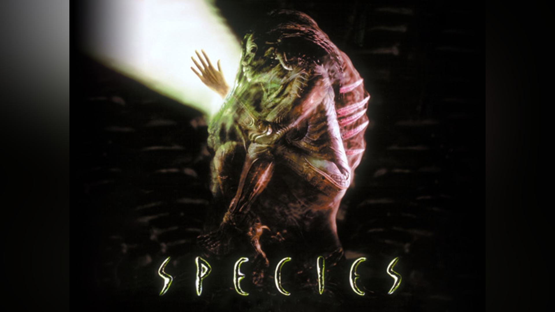 カンテレドーガ|関西テレビの動画配信サービス【初回30日間無料】