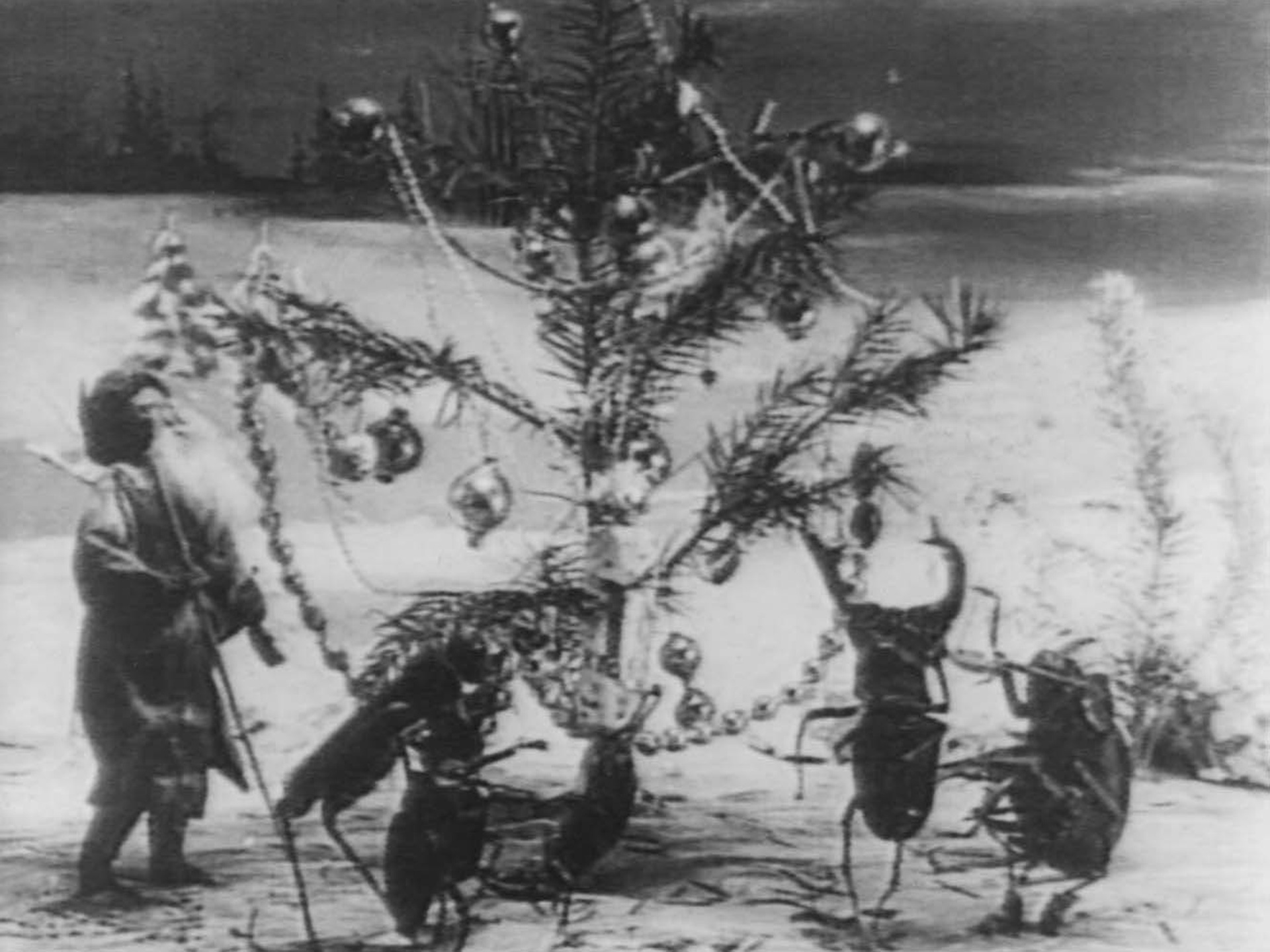 アニメ 森の住民のクリスマス の動画 初月無料 動画配信サービスのビデオマーケット