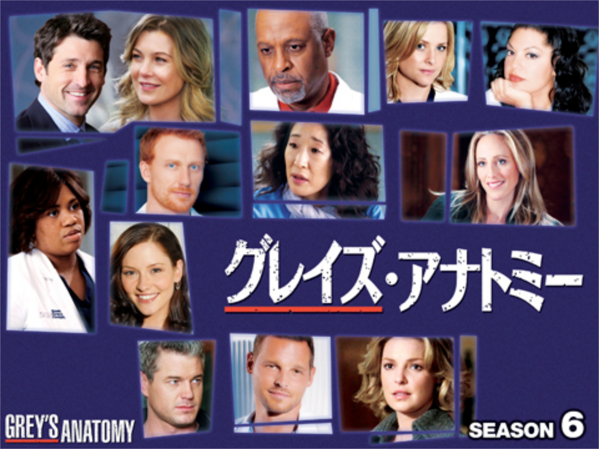ドラマ グレイズ アナトミー シーズン6 Episode 6 ある夜の悲劇 吹き替え 字幕版 フル動画 初月無料 動画配信サービスのビデオマーケット