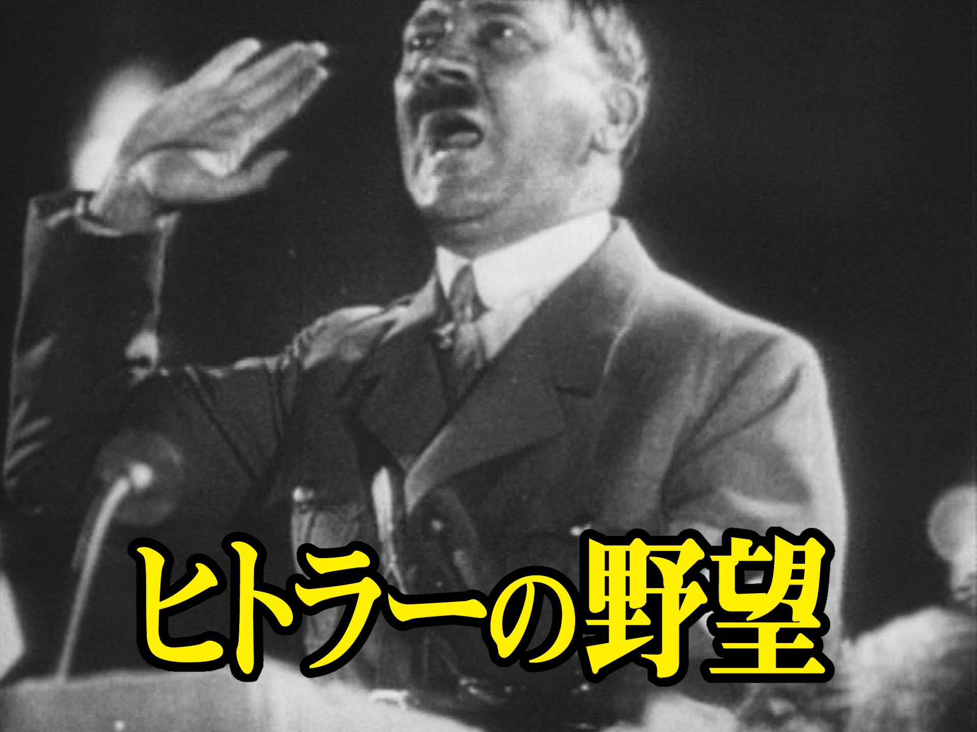 趣味 その他 ヒトラーの野望 の動画 初月無料 動画配信サービスのビデオマーケット