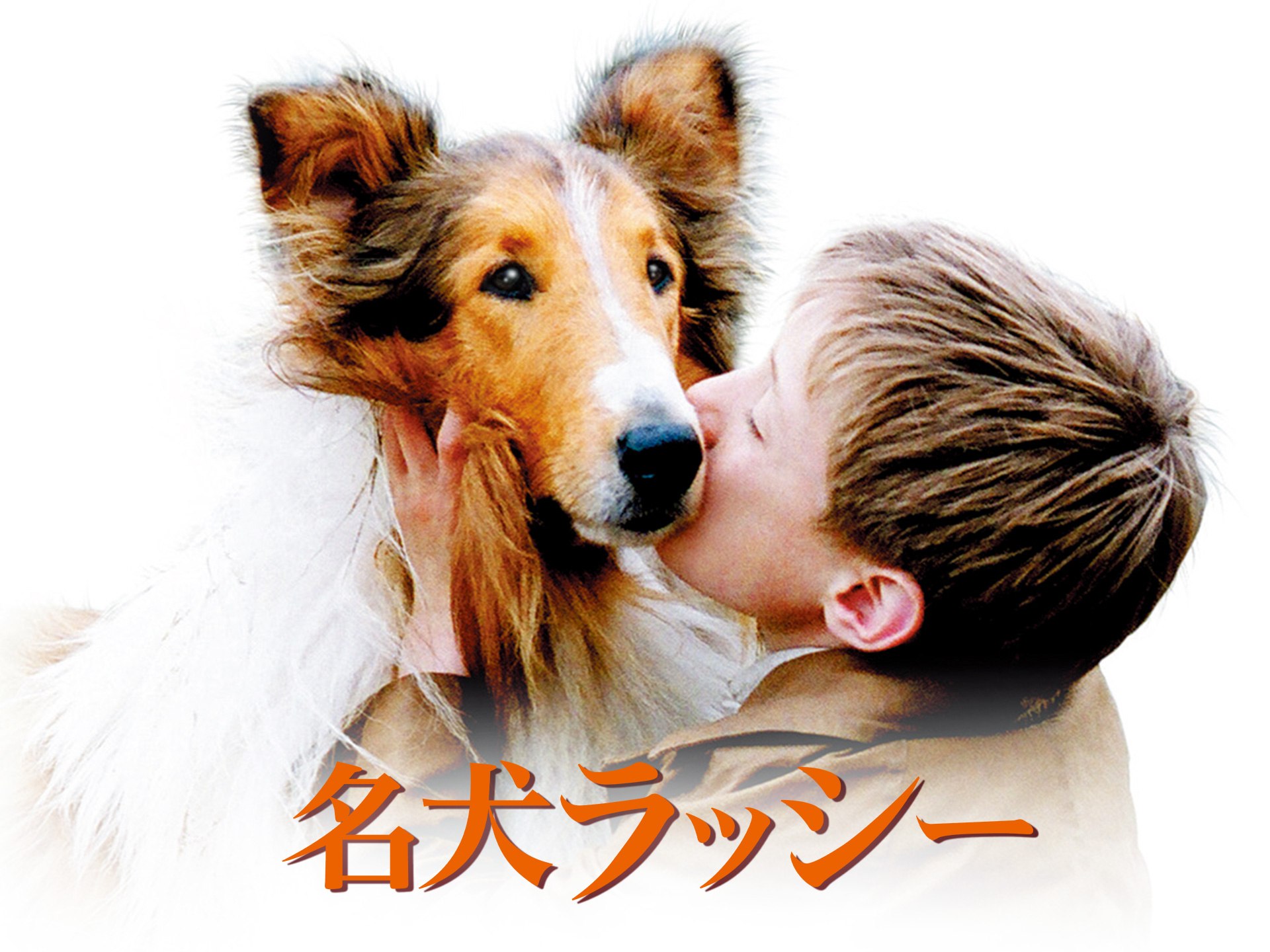 映画 名犬ラッシー の動画 初月無料 動画配信サービスのビデオマーケット