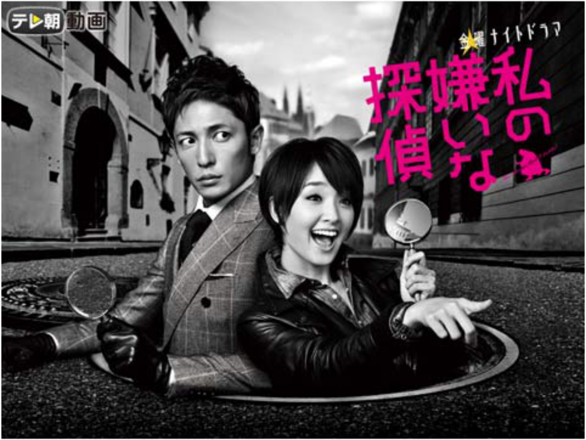 動画 ドラマ 私の嫌いな探偵 動画 ドラマ 私の嫌いな探偵