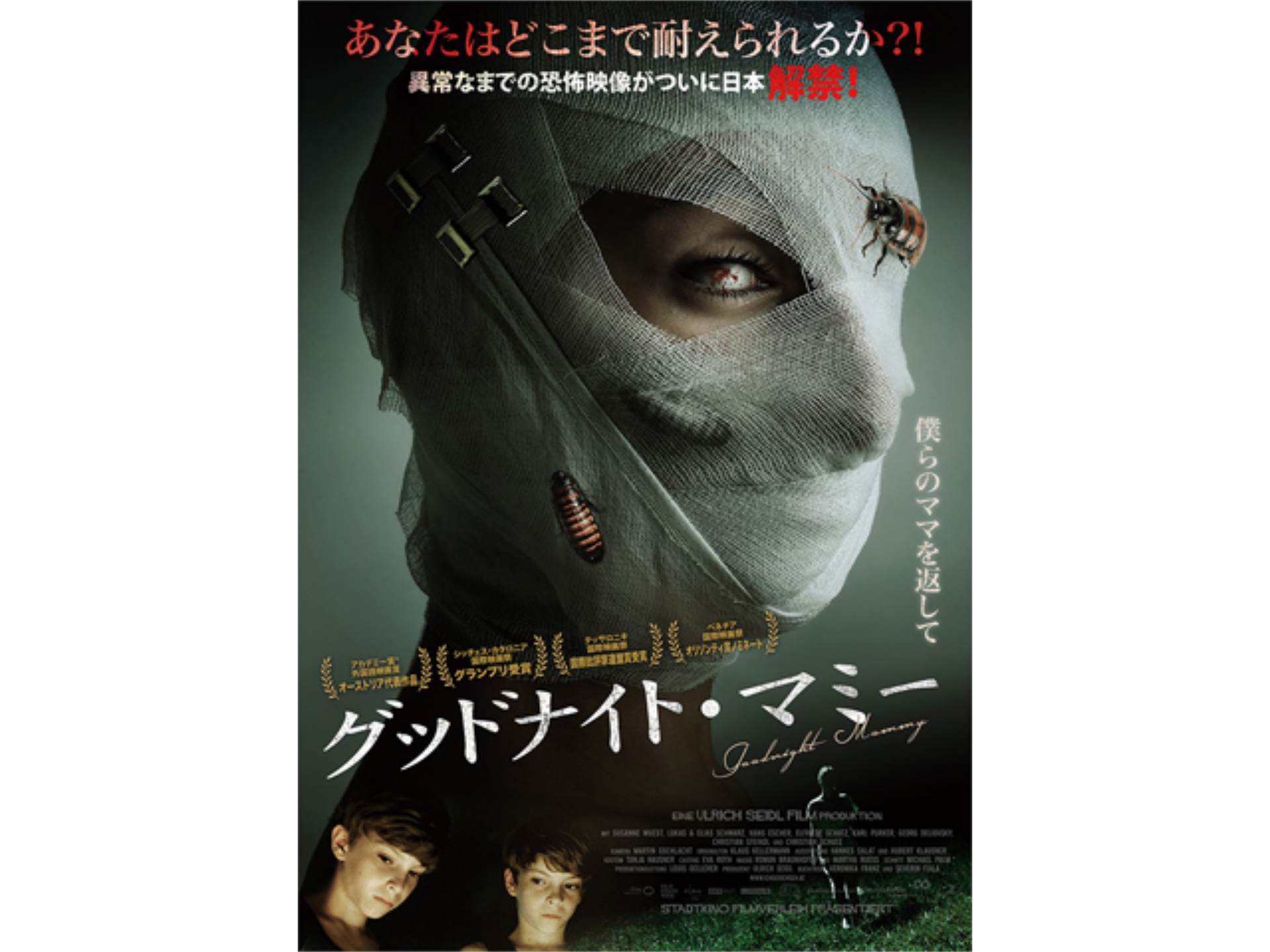 無料視聴あり 映画 グッドナイト マミー の動画 初月無料 動画配信サービスのビデオマーケット