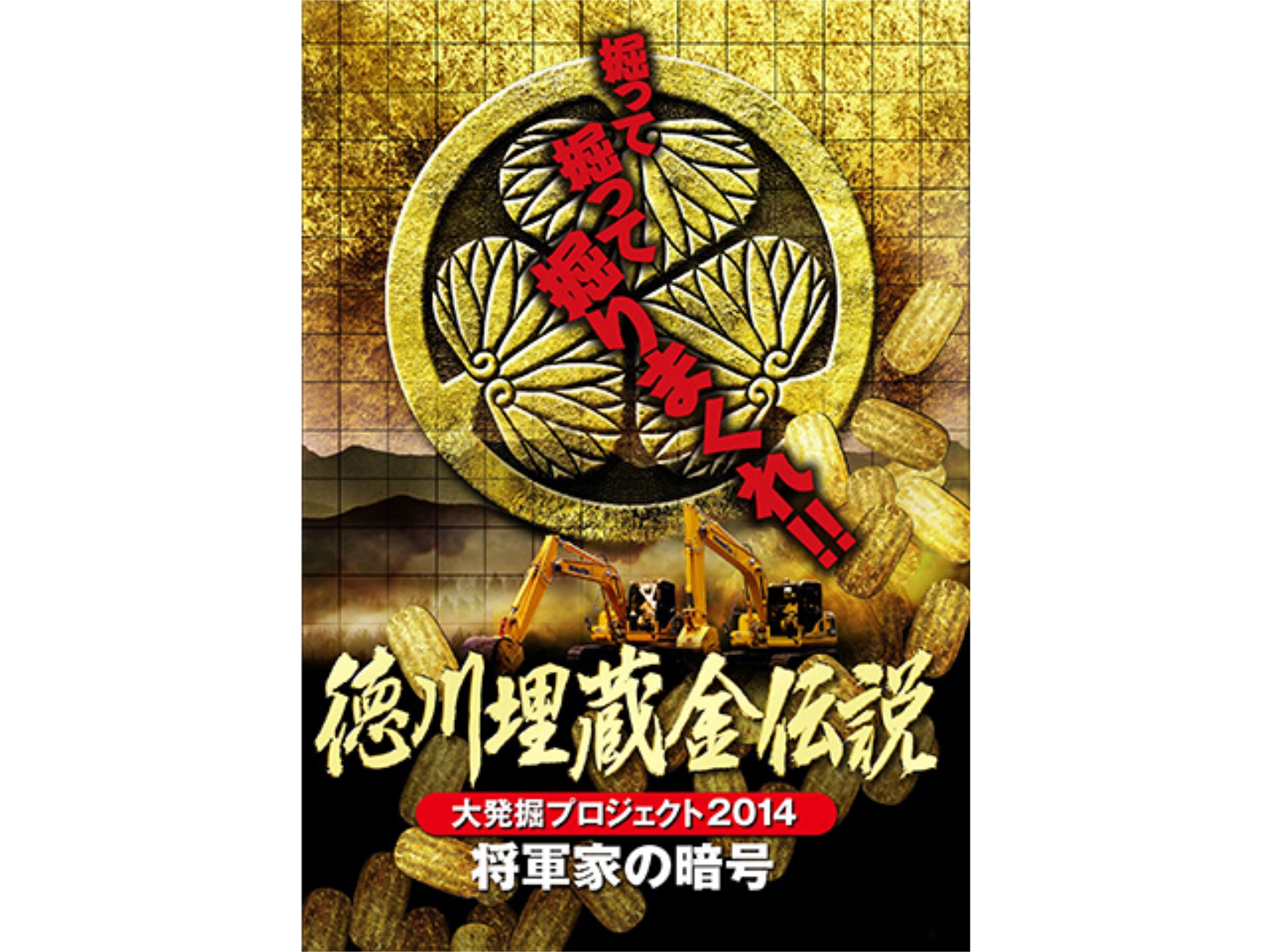 無料視聴あり 映画 徳川埋蔵金伝説 大発掘プロジェクト14 将軍家の暗号 の動画 初月無料 動画配信サービスのビデオマーケット