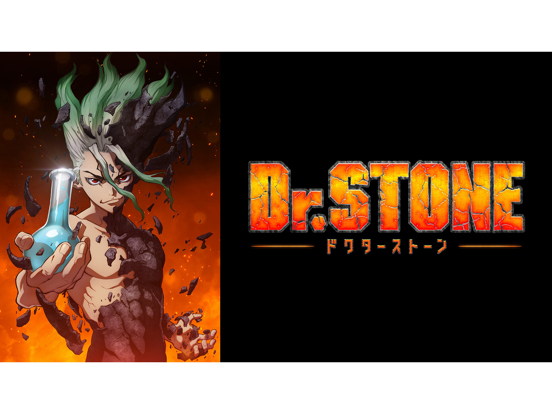 無料視聴あり アニメ Dr Stone 第1期 の動画まとめ 初月無料 動画配信サービスのビデオマーケット