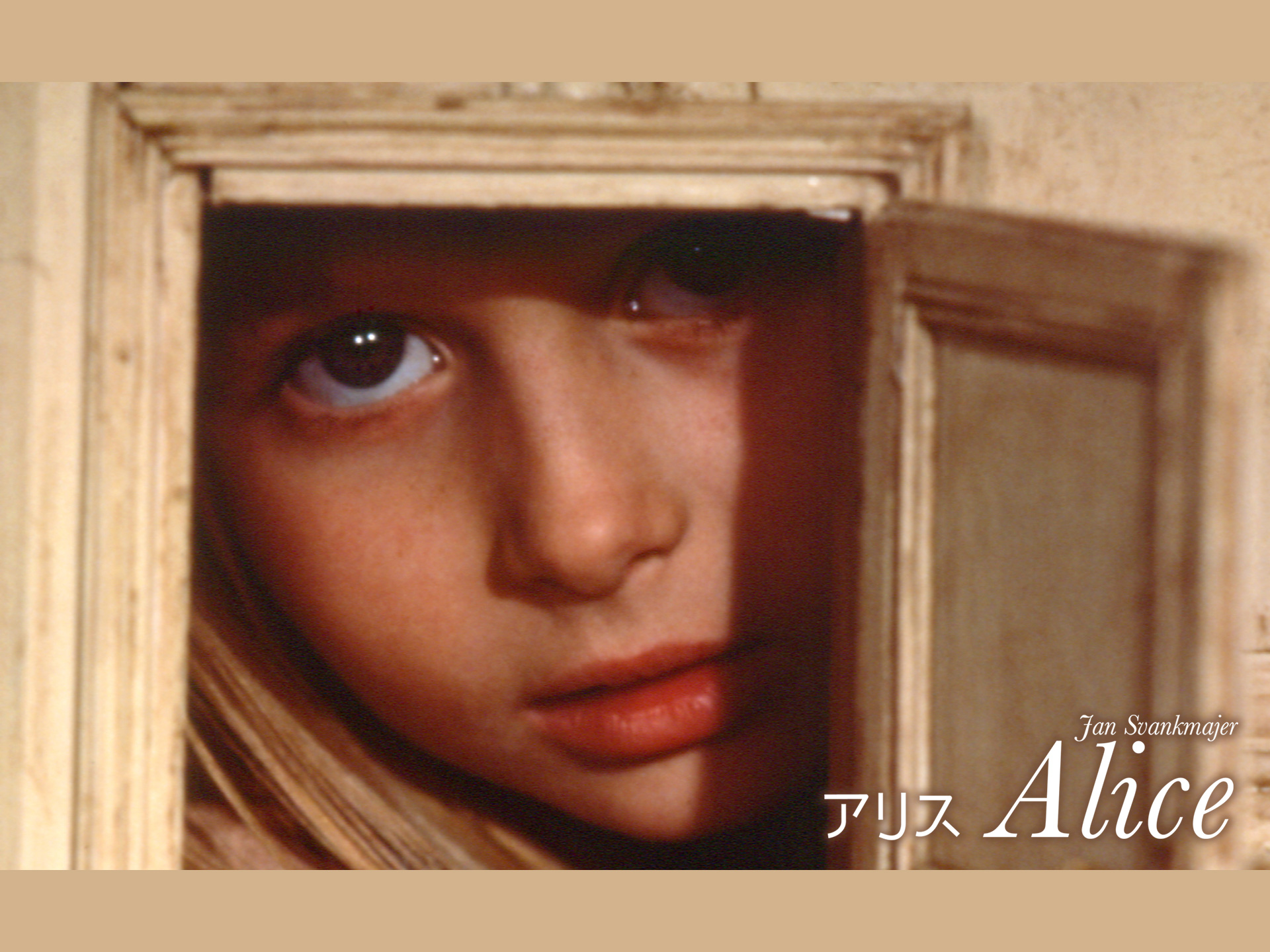 無料視聴あり 映画 アリス の動画 初月無料 動画配信サービスのビデオマーケット