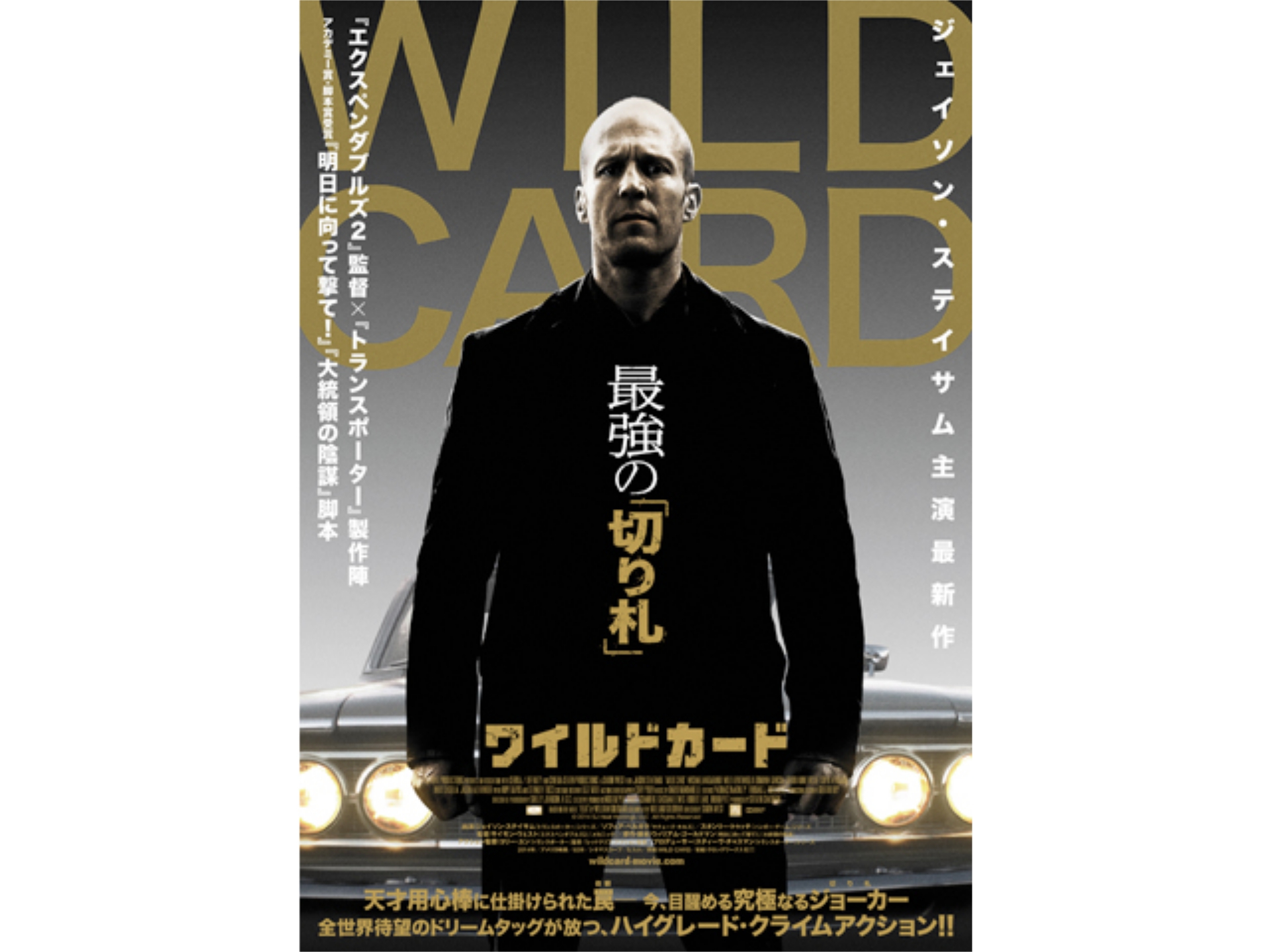 映画 Wild Card ワイルドカード の動画 初月無料 動画配信サービスのビデオマーケット