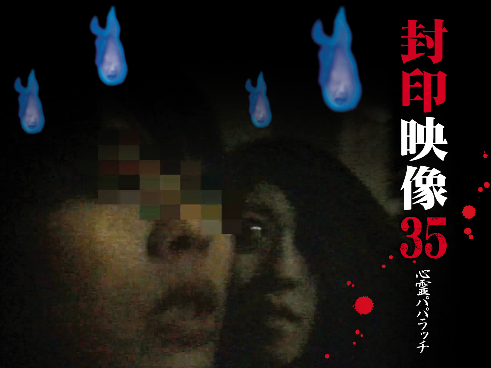 無料視聴あり 趣味 その他 封印映像35 心霊パパラッチ の動画 初月無料 動画配信サービスのビデオマーケット