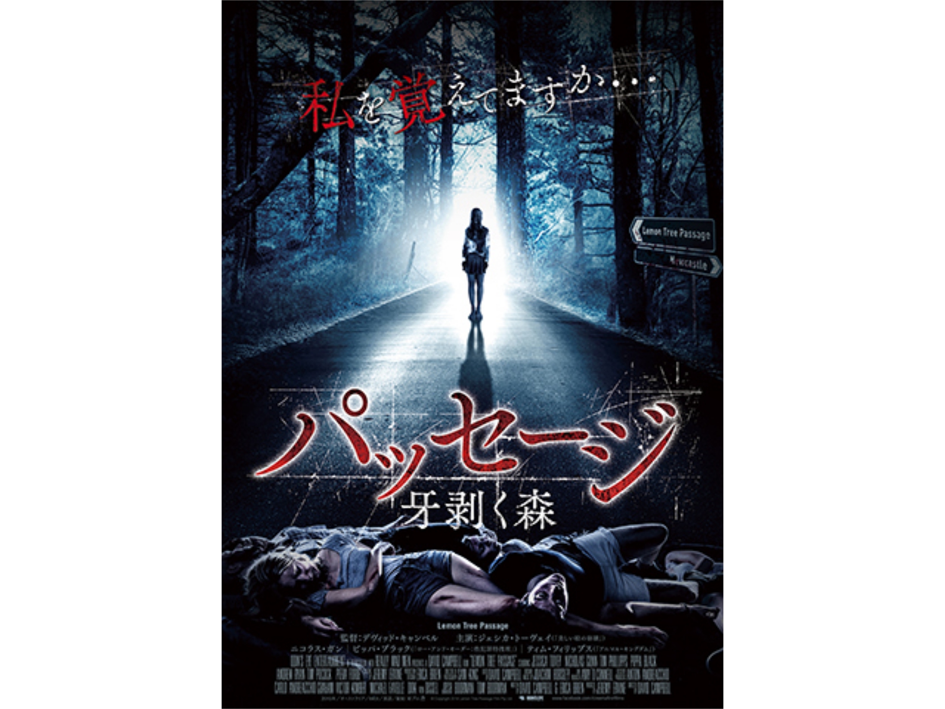 無料視聴あり 映画 パッセージ 牙剥く森 の動画 初月無料 動画配信サービスのビデオマーケット