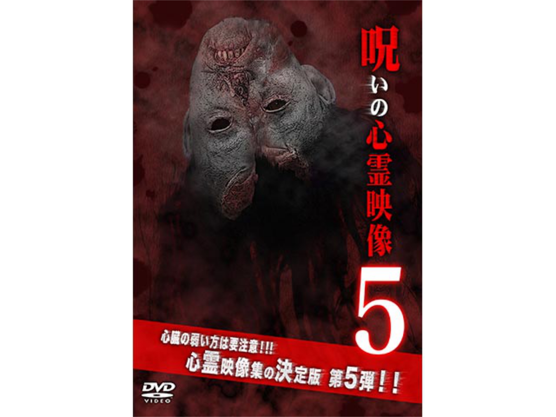 趣味 その他 投稿されてきた 呪いの心霊映像5 予告編 フル動画 初月無料 動画配信サービスのビデオマーケット