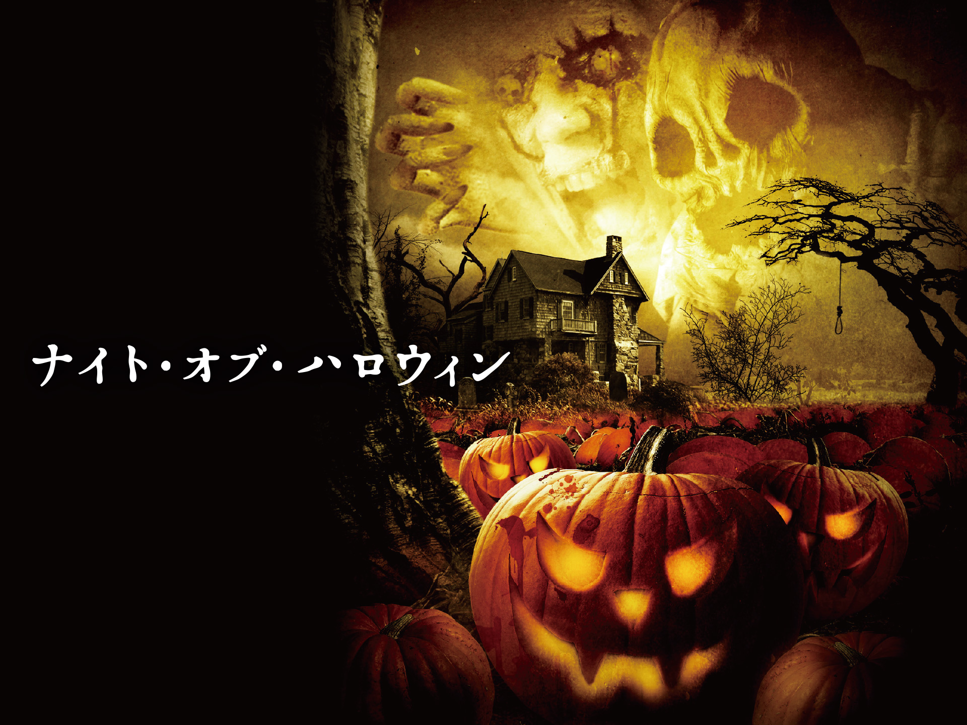 映画 ナイト オブ ハロウィン ナイト オブ ハロウィン 字幕版 フル動画 初月無料 動画配信サービスのビデオマーケット