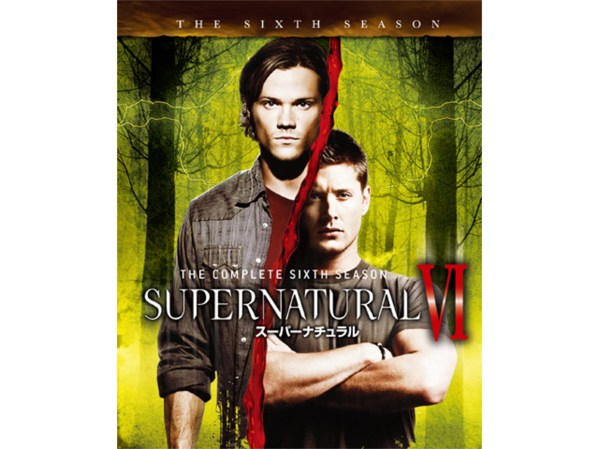 ドラマ Supernatural Vi シックス シーズン の動画まとめ 初月無料 動画配信サービスのビデオマーケット