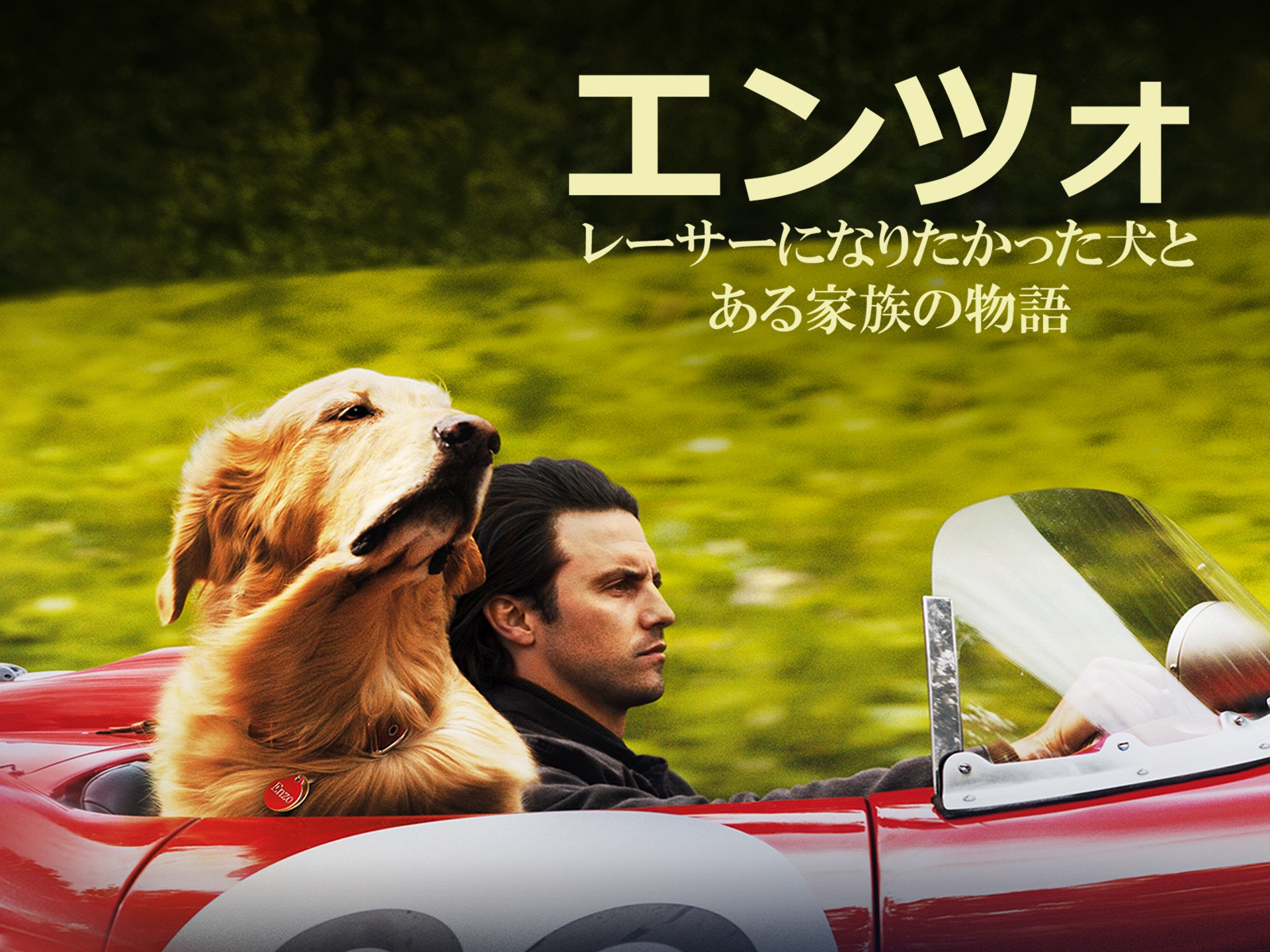 映画 エンツォ レーサーになりたかった犬とある家族の物語 エンツォ レーサーになりたかった犬とある家族の物語 吹き替え 字幕版 フル動画 初月無料 動画配信サービスのビデオマーケット