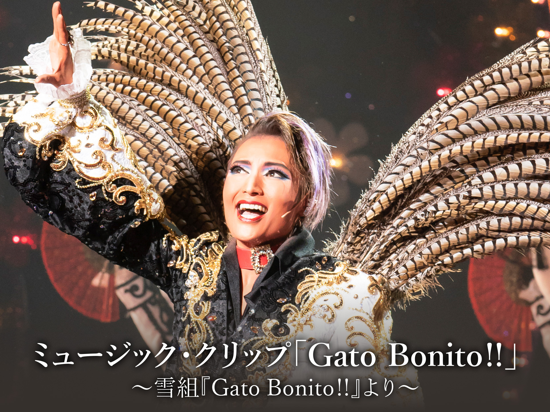 バラエティ ミュージック クリップ Gato Bonito 雪組 Gato Bonito より の動画 初月無料 動画配信サービスのビデオマーケット