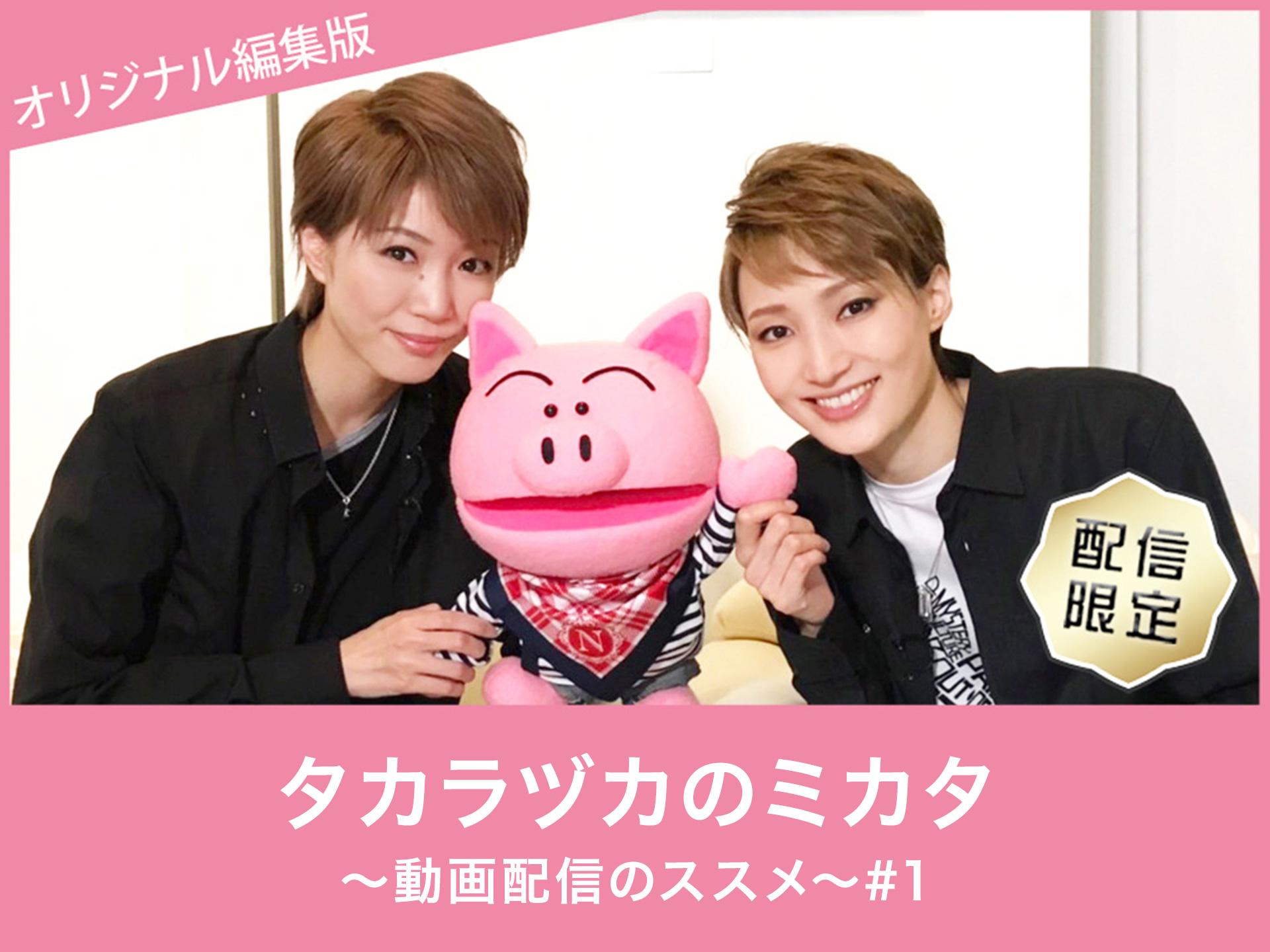 バラエティ タカラヅカのミカタ 動画配信のススメ 1 オリジナル編集版 の動画 初月無料 動画配信サービスのビデオマーケット