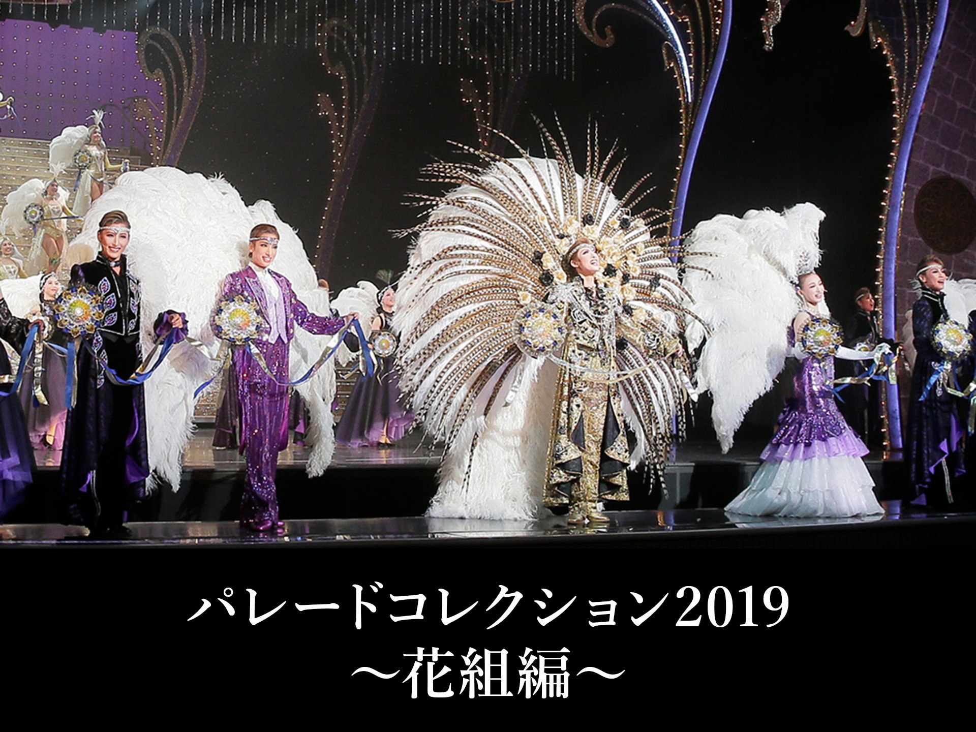 バラエティ パレードコレクション19 花組編 の動画 初月無料 動画配信サービスのビデオマーケット