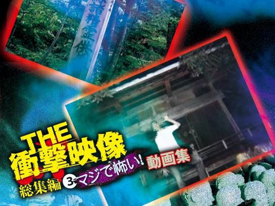 その他「the 衝撃映像 総集編 2 むちゃくちゃグロい 動画集」 【無料体験】動画配信サービスのビデオマーケット