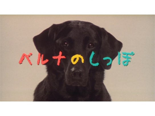 映画 ベルナのしっぽ の動画 初月無料 動画配信サービスのビデオマーケット