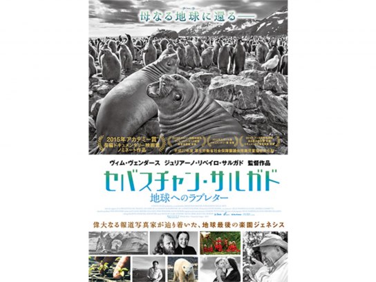 無料視聴あり 映画 セバスチャン サルガド 地球へのラブレター の動画 初月無料 動画配信サービスのビデオマーケット
