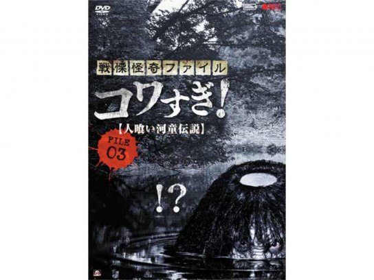 無料視聴あり 映画 戦慄怪奇ファイル コワすぎ File 03 人喰い河童伝説 の動画 初月無料 動画配信サービスのビデオマーケット