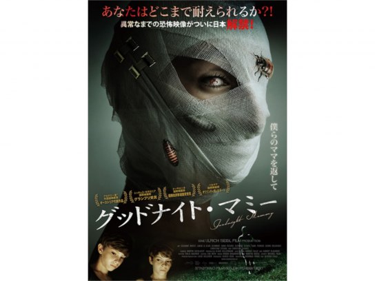 無料視聴あり 映画 グッドナイト マミー の動画 初月無料 動画配信サービスのビデオマーケット
