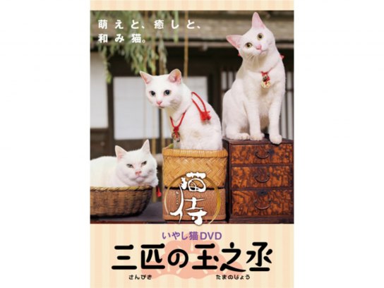 趣味 その他 猫侍 三匹の玉之丞 の動画 初月無料 動画配信サービスのビデオマーケット