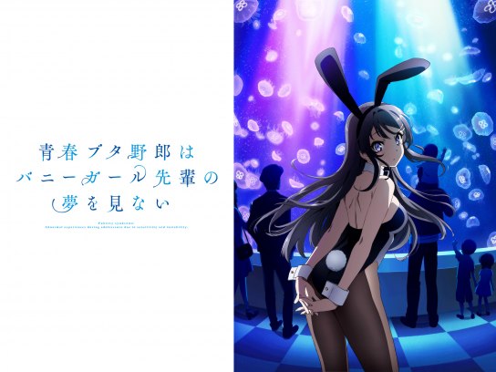 無料視聴あり アニメ 青春ブタ野郎はバニーガール先輩の夢を見ない の動画まとめ 初月無料 動画配信サービスのビデオマーケット