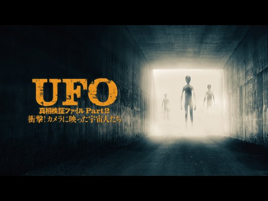 無料視聴あり 映画 Ufo 真相検証ファイル Part2 衝撃 カメラに映った宇宙人たち の動画 初月無料 動画配信サービスのビデオマーケット