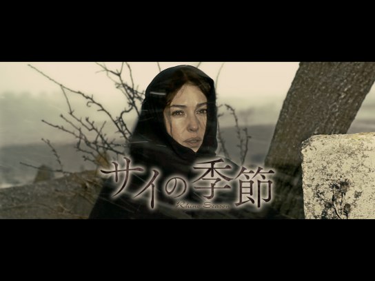 無料視聴あり 映画 サイの季節 の動画 初月無料 動画配信サービスのビデオマーケット