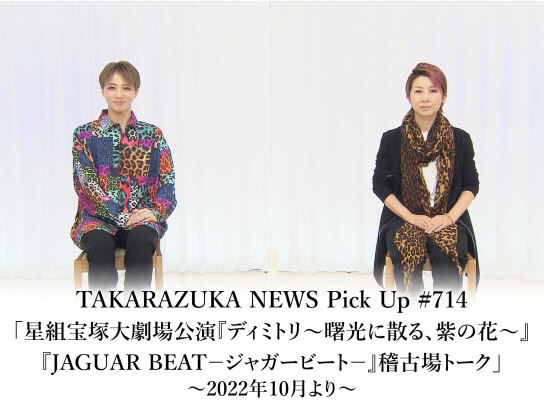 タカラヅカ オン デマンド の動画 無料体験 動画配信サービスのビデオマーケット