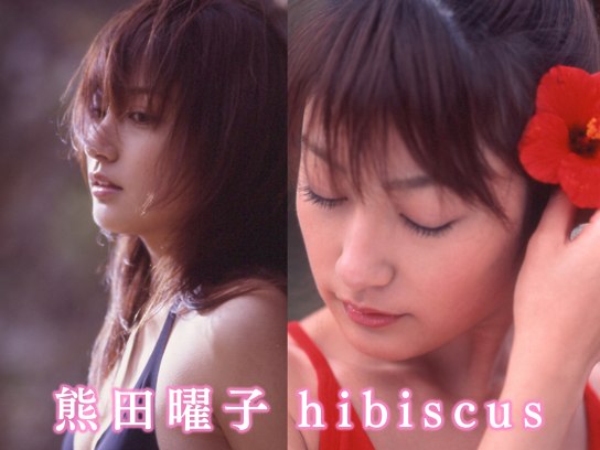 趣味 その他 熊田曜子 Hibiscus の動画 初月無料 動画配信サービスのビデオマーケット